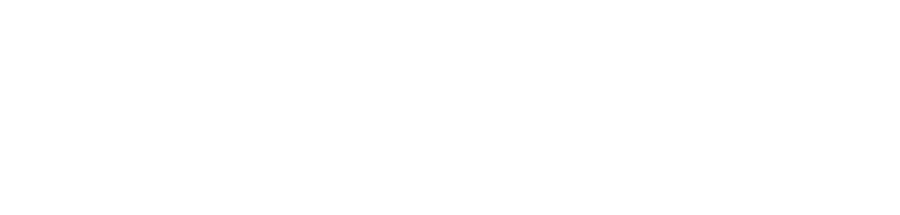 ToroFi